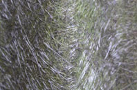 Lyne Of Gorthleck fibreglass roof work